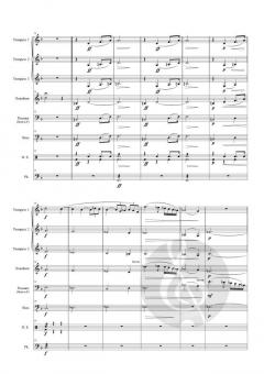 Ankunft bei den schwarzen Schwänen von Richard Wagner 