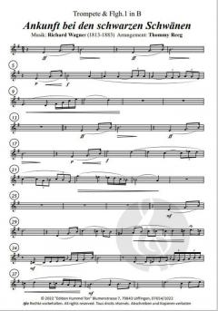 Ankunft bei den schwarzen Schwänen von Richard Wagner 