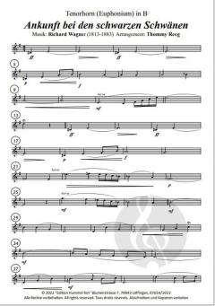 Ankunft bei den schwarzen Schwänen von Richard Wagner 