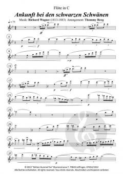 Ankunft bei den schwarzen Schwänen von Richard Wagner 