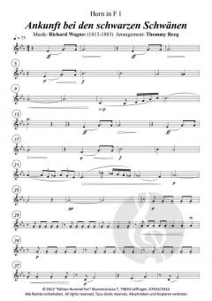 Ankunft bei den schwarzen Schwänen von Richard Wagner 