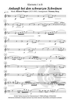 Ankunft bei den schwarzen Schwänen von Richard Wagner 