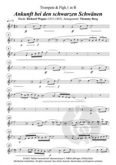 Ankunft bei den schwarzen Schwänen von Richard Wagner 