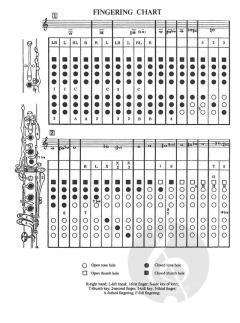 Scales And Arpeggios von Avrahm Galper 