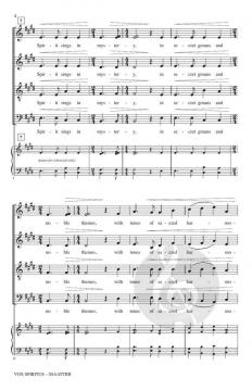 Vox Spiritus von Brad Nix 