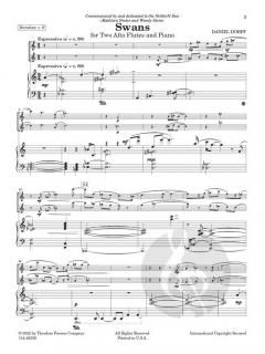 Swans von Daniel Dorff 