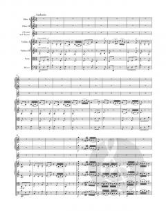 Sinfonie c-Moll Hob. I:52 von Joseph Haydn 