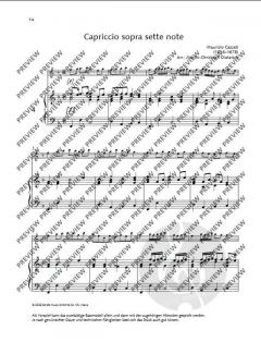 Altblockflöten-Weihnachtsbuch  im Alle Noten Shop kaufen