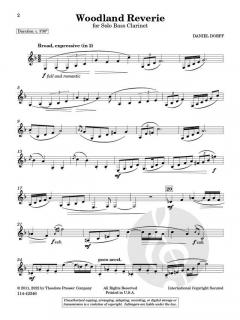 Woodland Reverie  von Daniel Dorff 