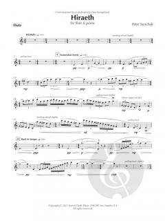 Hiraeth von Peter Senchuk 