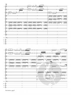 Pas d'action von Peter Iljitsch Tschaikowsky 