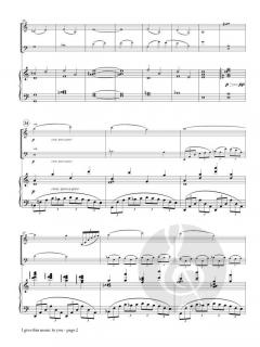 I Give This Music to You von Anze Rozman 