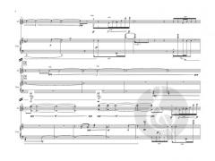 Duet von Xinzhou Xiao 