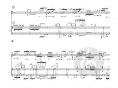 Duet von Xinzhou Xiao 