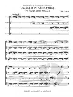 Waking of the Green Spring von Anze Rozman 