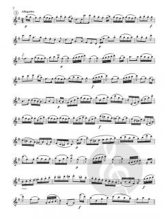 The Magic Flute von Wolfgang Amadeus Mozart 