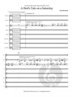 A Bird's Tale on a Saturday von Anze Rozman 