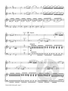 Duetto buffo di due gatti von Gioacchino Rossini 