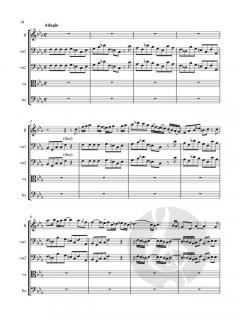 Concerto in F Minor von Pierre-Gabriel Buffardin 