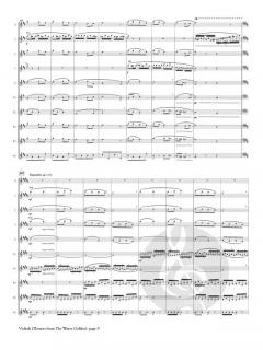 Vodnik von Antonín Dvořák 