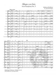Allegro con brio von Ludwig van Beethoven 