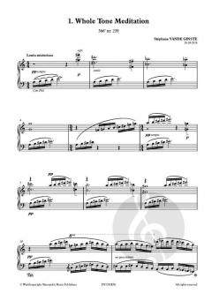 Complete 366' Book 51: 4 Imaginative Intervals von Stephane Vande Ginste 