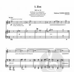 Complete 366' Book 46: 11 Meditations von Stephane Vande Ginste 