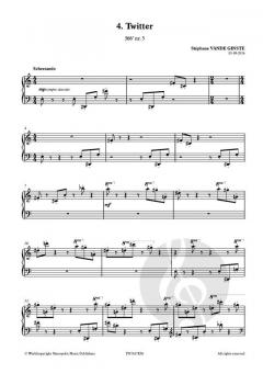 Complete 366' Book 54: The Last Pieces von Stephane Vande Ginste 