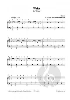 Waltz for Wilma von Christa Steenhuyse-Vandevelde 