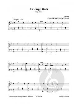 Zwierige Wals in g moll von Christa Steenhuyse-Vandevelde 