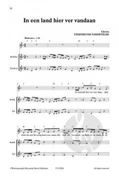 Zing Mee! De wilde zwanen von Christa Steenhuyse-Vandevelde 