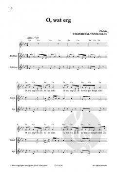 Zing Mee! De wilde zwanen von Christa Steenhuyse-Vandevelde 