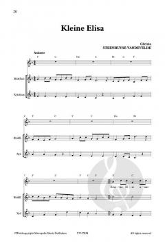 Zing Mee! De wilde zwanen von Christa Steenhuyse-Vandevelde 