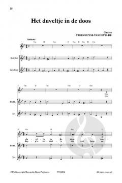 Zing Mee! Het dappere tinnen soldaatje von Christa Steenhuyse-Vandevelde 