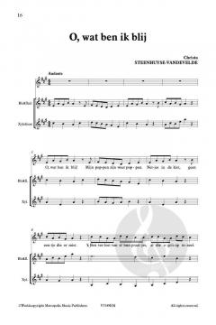 Zing Mee! De man met de poppenkast von Christa Steenhuyse-Vandevelde 