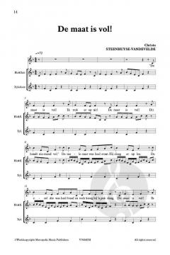 Zing Mee! De Bremer stadsmuzikanten von Christa Steenhuyse-Vandevelde 