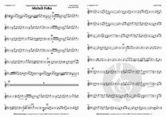 Micheli Polka von Obermüller Musikanten 