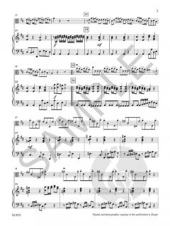 Chamber Concerto von Antonio Vivaldi 