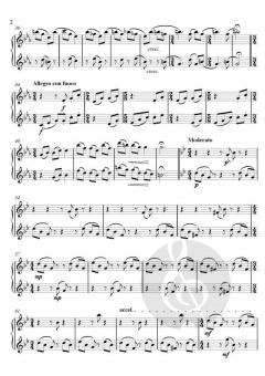 Gemini von Theodor Köhler 