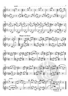 Gemini von Theodor Köhler 