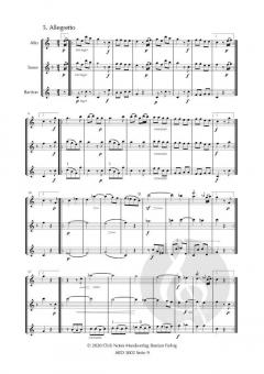 5 Trios de Mozart von Louis Mayeur 