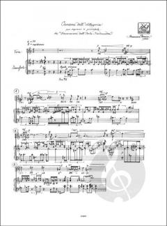 Canzone dell'allegoria von F. Pennisi 