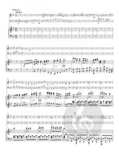 Trio in B op. 97 - "Erzherzog" von Ludwig van Beethoven 