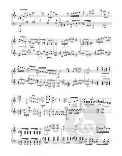 Sonate - Landschaft von Gideon Klein 