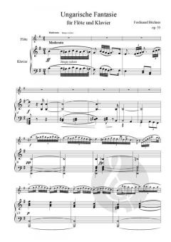 Ungarische Fantasie op.33 von Ferdinand Büchner 