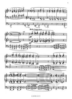 Introduktion, Variationen und Finale op. 138 von Jean-Marie Plum 