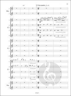 Ciel Planetes Cometes von Pascal Proust 