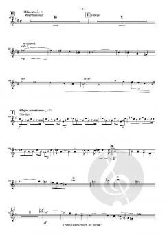 A Paragliders Flight (Konzertwerk) von Matthäus Crepaz 