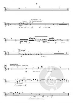 A Paragliders Flight (Konzertwerk) von Matthäus Crepaz 