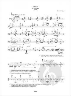 Irrfelsen von Reinhard Febel 